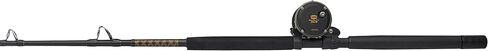 PENN 6'6" Squall II Level Wind Saltwater Rod and Reel Fishing Combo, 1-Piece Fishing Rod, Black/Gold in Saudi Arabia