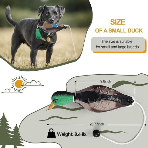 مصد دمية البط الميت لصيد الطيور المائية المسترد تدريب الكلاب ناعم متين عائم مناسب للكلاب أو كلاب الصيد البالغة in Kuwait