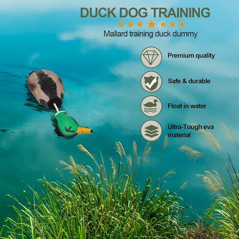مصد دمية البط الميت لصيد الطيور المائية المسترد تدريب الكلاب ناعم متين عائم مناسب للكلاب أو كلاب الصيد البالغة in Kuwait