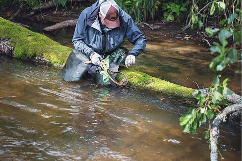 جوارب AUSCAMOTEK الرجالية على الصدر جيدة التهوية وخفيفة الوزن in Kuwait