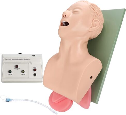 faruijie Endotracheal Intubation Human Model - Tracheal Intubation Manikin Simulator, Oral and Nasal Airway Managment Trainning Aid Kit for Science Education/Practice/Study in Saudi Arabia