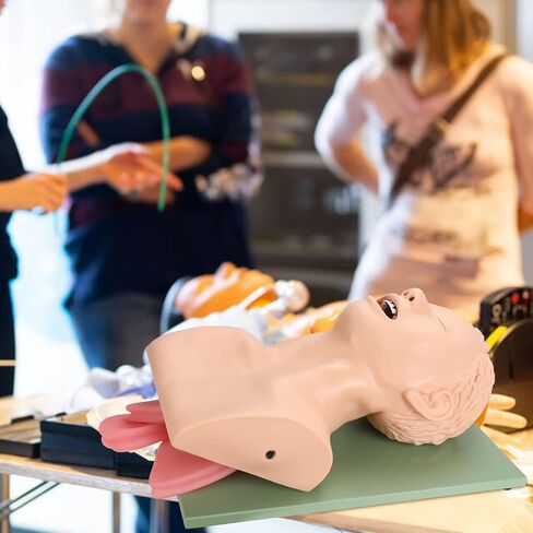 faruijie Endotracheal Intubation Human Model - Tracheal Intubation Manikin Simulator, Oral and Nasal Airway Managment Trainning Aid Kit for Science Education/Practice/Study in Saudi Arabia