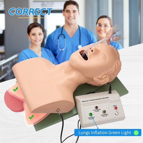 faruijie Endotracheal Intubation Human Model - Tracheal Intubation Manikin Simulator, Oral and Nasal Airway Managment Trainning Aid Kit for Science Education/Practice/Study in Saudi Arabia