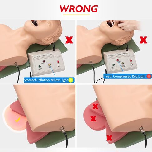 faruijie Endotracheal Intubation Human Model - Tracheal Intubation Manikin Simulator, Oral and Nasal Airway Managment Trainning Aid Kit for Science Education/Practice/Study in Saudi Arabia