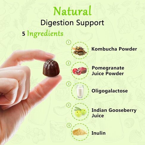 Nature's Key Kombucha Gummies 120Cts （Pack of 2) in Kuwait