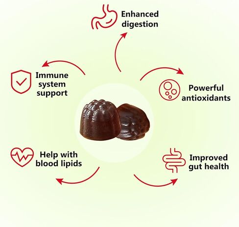 Nature's Key Kombucha Gummies 120Cts （Pack of 2) in Kuwait