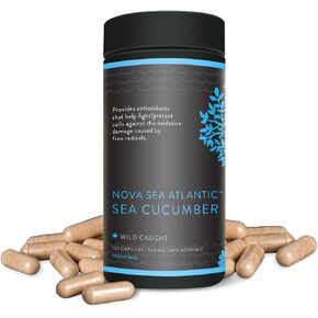 Wild Sea Cucumber Supplement Capsules Antioxidant Healthy Energy Supplement with Fucosylated Chondroitin Sulfate Collagen Glycosides Vitamins Minerals