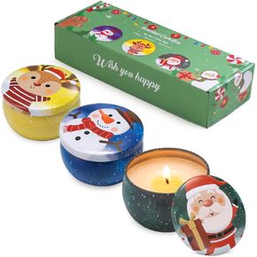 Hausware 3 Pack Scented Candles, 2.5 oz Aromatherapy Candles,Soy Candles Set with 72H Burning Time,Christmas Candles,Christmas Gift for Women (Apple Cinnamon+Cedar+Vanilla Cake)