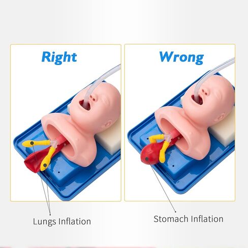 faruijie Tracheal Intubation Infant Simulator - Baby Manikin for Oral/Nasal Intubation Suction, Airway Managment Teaching Aid with Endotracheal Tube for Science Lab Study in Saudi Arabia