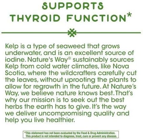 Nature's Way Kelp، 180 كبسولة (عبوة من 2) in Saudi Arabia