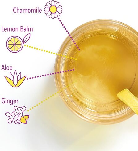 GI InnerCalm من Biocidin - مشروب صحي يومي مهدئ للأمعاء مع GutGard DGL، بلسم الليمون، الجلايسين، جذر الزنجبيل - يدعم سلامة بطانة المعدة، ويساعد على إدارة الانتفاخ العرضي (30 عبوة عصا) in Saudi Arabia