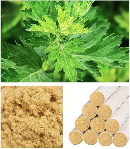 Moxa Stick for Moxibustion, Golden Moxa Roll Strip Wild Wormwood Moxa Bar for Moxibustion Health Care Heat Treatment-10pics in Kuwait