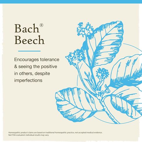 Bach Original Flower Remedies, Beech for Tolerance (Non-Alcohol Formula), Natural Homeopathic Flower Essence, Holistic Wellness and Stress Relief, Vegan, 10mL Dropper in Kuwait