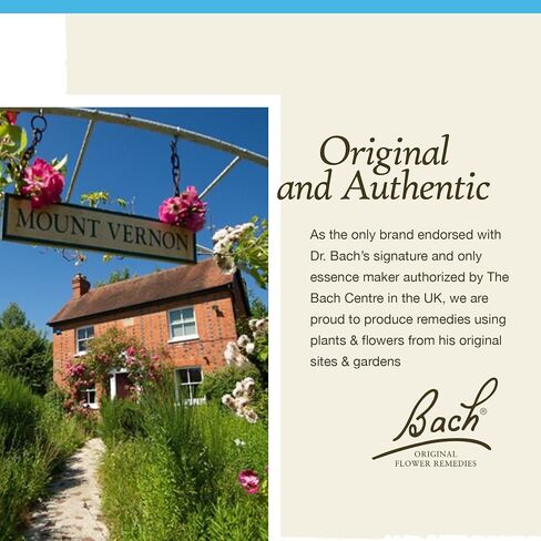 Bach Original Flower Remedies, Beech for Tolerance (Non-Alcohol Formula), Natural Homeopathic Flower Essence, Holistic Wellness and Stress Relief, Vegan, 10mL Dropper in Kuwait