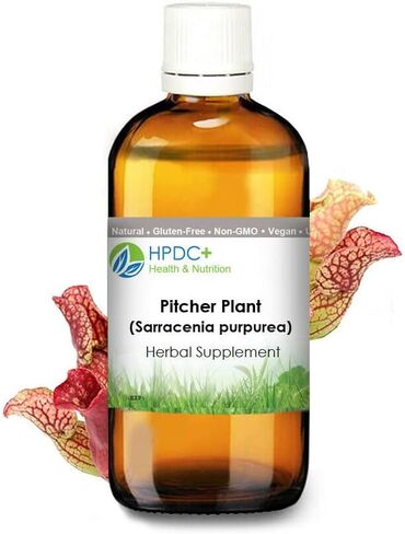 HPDC+ إبريق الصحة والتغذية S. Pox Plant/Sarracenia Purpurea صبغة - مستخلص الصبغة - 1 أونصة سائلة / 30 مل (1.00 أونصة سائلة / 30 مل) in Kuwait