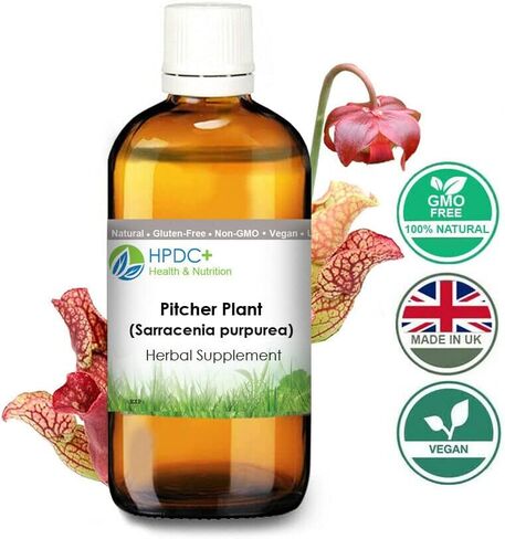 HPDC+ إبريق الصحة والتغذية S. Pox Plant/Sarracenia Purpurea صبغة - مستخلص الصبغة - 1 أونصة سائلة / 30 مل (1.00 أونصة سائلة / 30 مل) in Kuwait