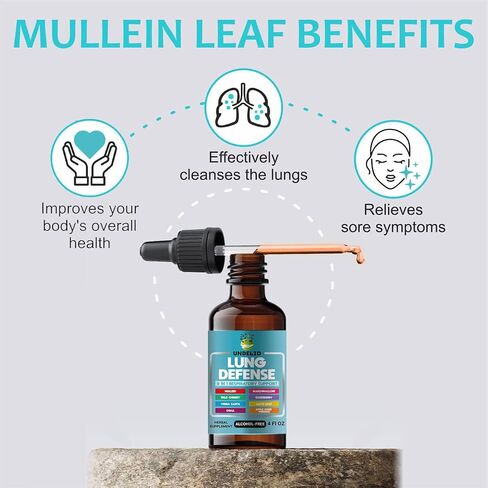 8 in 1 LUNG DEFENSE Herbal Extract, Blend (Mullein-Marshmallow-OSHA-Wild Cherry-Elderberry-Yerba Santa-Olive Leaf-ACV) Lung Cleanse, Respiratory & Immune system Support. Liquid supplement 2 OZ in Kuwait