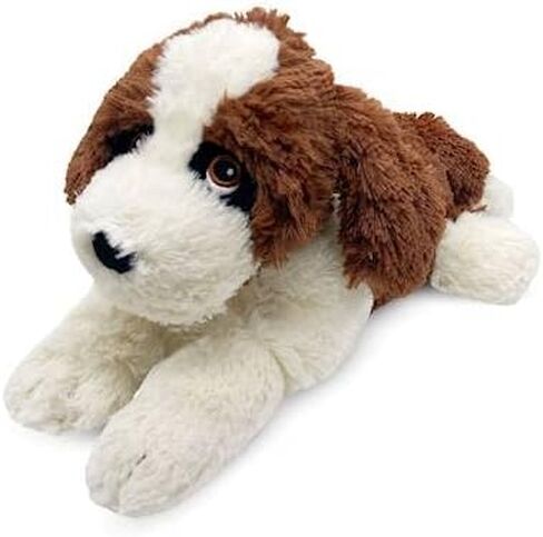 INTELEX (Warmies) St. Bernard in Saudi Arabia
