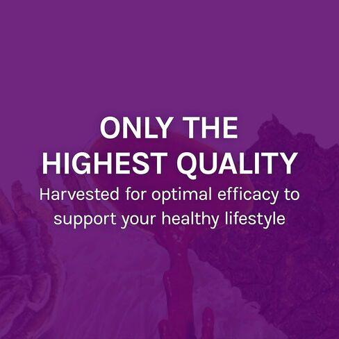 Host Defense, MyCommunity Extract، دعم المناعة المتقدم، مكمل الفطر مع عرف الأسد والريشي، عادي، 2 أونصة سائلة in Saudi Arabia