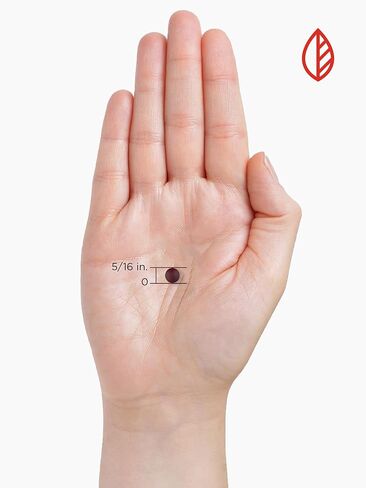 Slow Release Iron - 45mg - 100 Tablets - Vegetarian, Non-GMO & Gluten Free Supplement - by Nature's Reward in Kuwait