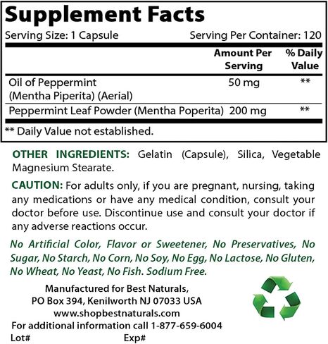 Best Naturals Peppermint Oil 250 mg 120 Capsules (120 Count (Pack of 3)) in Saudi Arabia