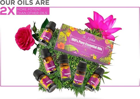 Essential Oils Set - Top 6 Natural Aromatherapy Oils for Diffusers Humidifier Massage Sleep Skin & Hair Care DIY Candle and Soap Making Gifts | 10 ML (The Notebook) in Saudi Arabia