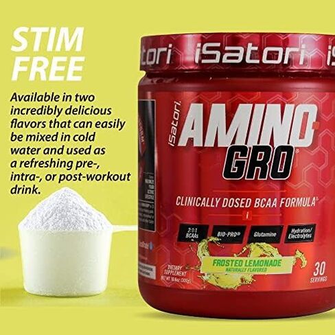 iSatori Amino-GRO BCAA Powder - Branched Chain Amino Acid Formula with Glutamine and Bio-GRO Bio-Active Peptides - Essential Amino Energy for Women and Men - Blue Razz Snow Cone (30 Servings) in Kuwait