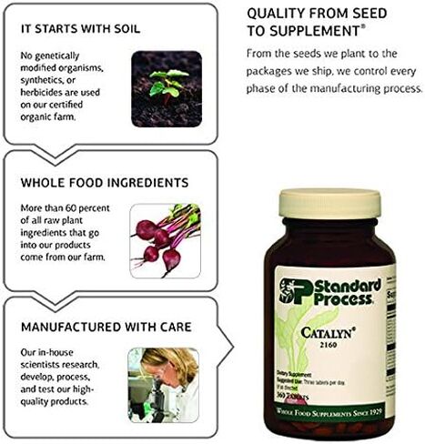 Standard Process - Gastrex - Supports Digestion, Stimulates Cleansing of Upper Gastrointestinal (GI) Tract, Provides Vitamin C, Niacin, Vitamin B6, Okra and Tillandsia Usneoides - 90 Capsules in Saudi Arabia