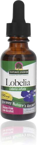 Nature’s Answer Lobelia Herb Lobelia Inflata - مكمل عشبي طبيعي - خالي من الغلوتين - مثالي للمناعة والصحة العامة - 690 ميكروجرام (1 أونصة سائلة) in Saudi Arabia