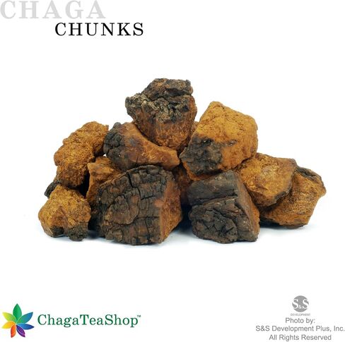 Siberian Chaga Mushroom Chunks Wild Harvested 3 Oz. (85g) in Kuwait