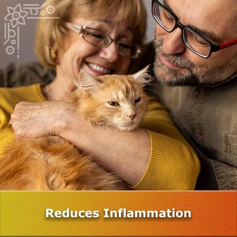 هارتلاند فارما لتخفيف آلام التهاب المفاصل - الأسبرين 325 ملغ EC - مغلف معوي - مسكن آلام NSAID - 100 قطعة - (عبوة من قطعتين) in Kuwait