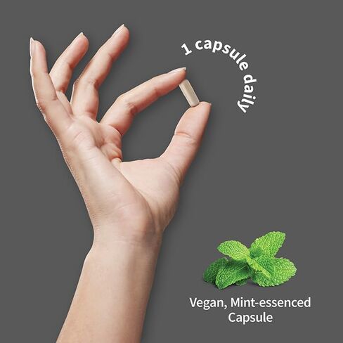 مكمل صحة الدماغ من Garden of Life Herbals مع عرف الأسد العضوي، والكركم وفيتامين D3 للذاكرة والتركيز والتركيز ووظيفة الدماغ الصحية، خالي من الغلوتين غير المعدل وراثيًا، نكهة النعناع، ​​30 وجبة in Saudi Arabia