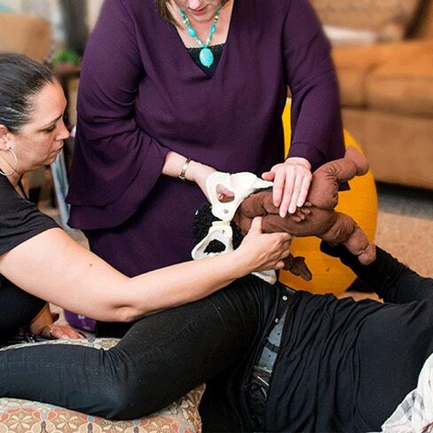 نموذج الحوض الأنثوي المرن بالحجم الطبيعي مع نموذج الطفل، بما في ذلك رؤوس عظم الفخذ والمفاصل، وأدوات ومستلزمات تعليم الولادة من Doula CBE، والتشريح، والغرض من التدريس والدراسة in Kuwait