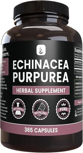 PURE ORIGINAL INGREDIENTS Echinacea Purpurea (365 Capsules) No Magnesium Or Rice Fillers, Always Pure, Lab Verified in Saudi Arabia