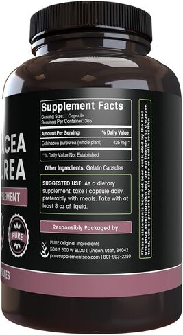 PURE ORIGINAL INGREDIENTS Echinacea Purpurea (365 Capsules) No Magnesium Or Rice Fillers, Always Pure, Lab Verified in Saudi Arabia