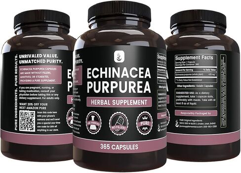PURE ORIGINAL INGREDIENTS Echinacea Purpurea (365 Capsules) No Magnesium Or Rice Fillers, Always Pure, Lab Verified in Saudi Arabia