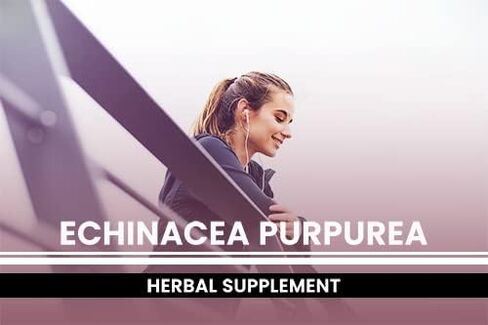 PURE ORIGINAL INGREDIENTS Echinacea Purpurea (365 Capsules) No Magnesium Or Rice Fillers, Always Pure, Lab Verified in Saudi Arabia