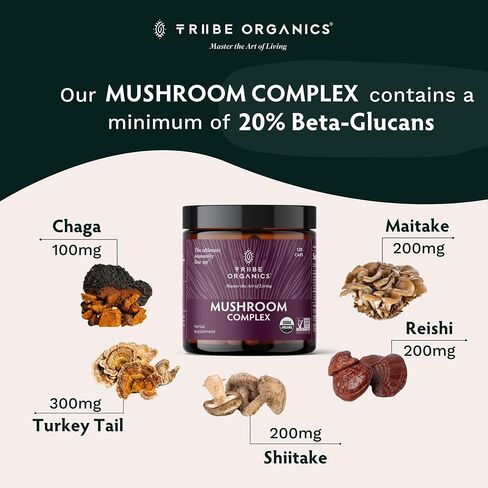 Superfood Master Blend Mushroom Vegan Capsules Supplement - 120 Count 60 Servings - Mushroom Powder Complex - Chaga | Reishi | Maitake | Shiitake | Turkey Tail Mushrooms for Immunity Support & Health in Saudi Arabia