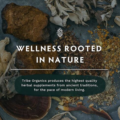 Superfood Master Blend Mushroom Vegan Capsules Supplement - 120 Count 60 Servings - Mushroom Powder Complex - Chaga | Reishi | Maitake | Shiitake | Turkey Tail Mushrooms for Immunity Support & Health in Saudi Arabia