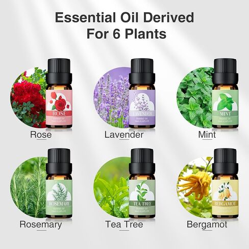 Essential Oils for Diffuser - Extra Pure 100% Diffuser Essential Oils Set with Aromatherapy Oils for Diffusers DIYs and More - Best Holiday Gifts for Mom Girls and Friends - 6 Pack in Saudi Arabia