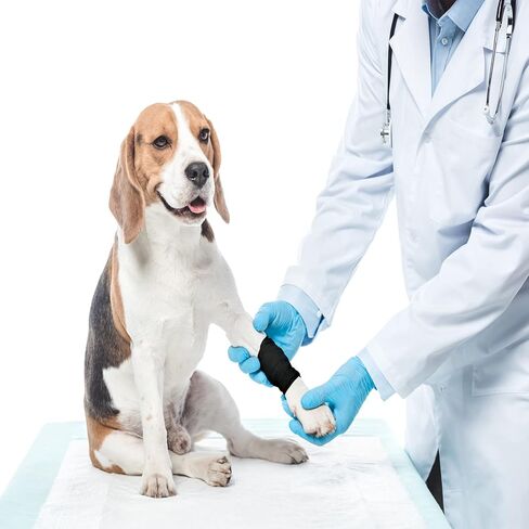 Self-Adhesive Cohesive Wrap Bandage Tape by MANSHU, Self-Adhesive Bandage Rolls,Elastic Non-Woven, 6 Rolls (3Inches x 5Yards) in Kuwait