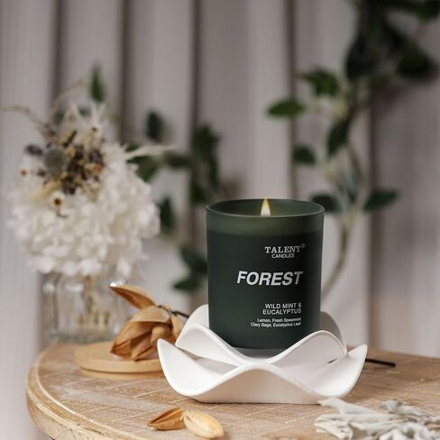 شموع معطرة للمنزل، شمع الصويا الطبيعي، شموع معطرة لتخفيف التوتر والاسترخاء، النعناع البري والأوكالبتوس، وعاء متوسط، مثالي لديكور المنزل وغرفة النوم in Saudi Arabia