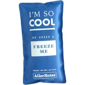 AllerMates Long Lasting Ice Gel Pack for Children's Medium Medicine Cases in Kuwait