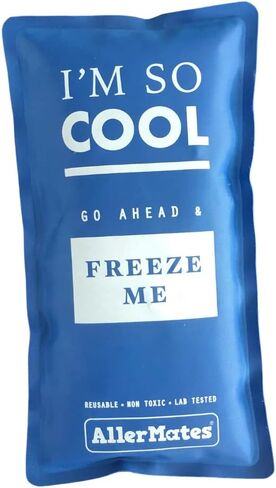 AllerMates Long Lasting Ice Gel Pack for Children's Medium Medicine Cases in Kuwait