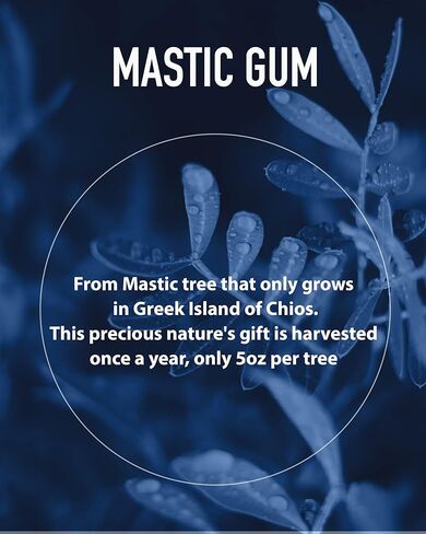 FromBIO Chios Mastic Gum Supplement for Stomach (30 Sticks) - Alternative to Probiotics for Digestive Health. 1,050mg Mastic, 107.8mg Oleanolic Acid. in Kuwait