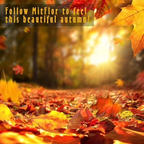 زيوت عطرية للخريف، زيوت ميتفلور معطرة فاخرة، زيوت عطرية لموزع الروائح والشموع والصابون، مجموعة هدايا زيوت عطرية للعلاج العطري في الخريف والقرفة وتوابل البرتقال والفانيليا واليقطين وغيرها in Kuwait