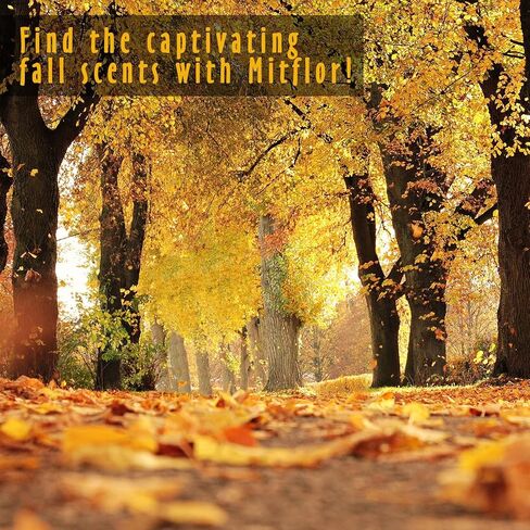 زيوت عطرية للخريف، زيوت ميتفلور معطرة فاخرة، زيوت عطرية لموزع الروائح والشموع والصابون، مجموعة هدايا زيوت عطرية للعلاج العطري في الخريف والقرفة وتوابل البرتقال والفانيليا واليقطين وغيرها in Kuwait