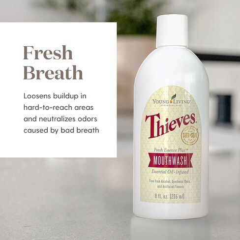 Young Living Thieves Fresh Essence Mouthwash - 8oz Alcohol-Free Dental Care for Fresh Breath and Oral Health - Teeth and Gum Cleaner - Whole-Mouth Clean in Saudi Arabia