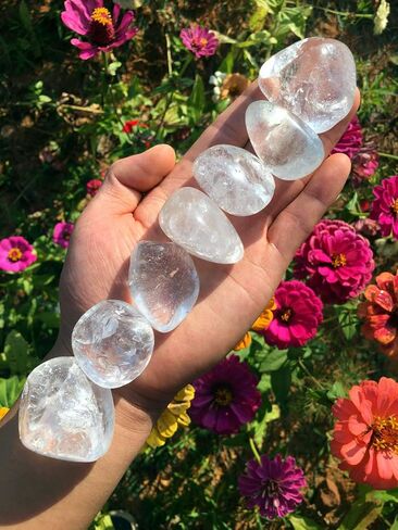 7 قطع من حجر السج الأسود الكبير من Zenkeeper، مجموعة كريستالات من حجر السج الأسود للشفاء الكريستالي، والديكور، والريكي، والشاكرا in Kuwait