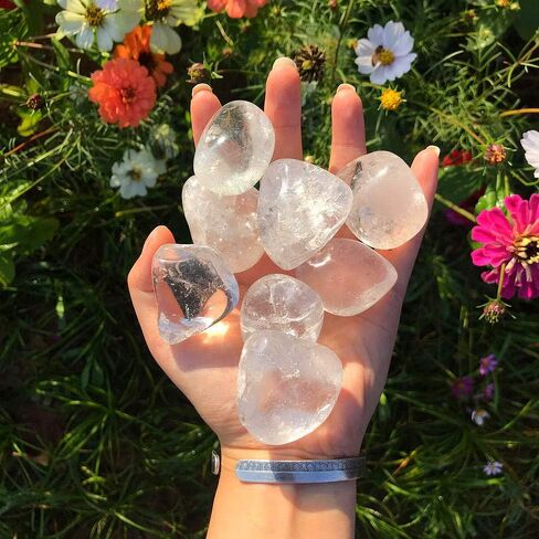 7 قطع من حجر السج الأسود الكبير من Zenkeeper، مجموعة كريستالات من حجر السج الأسود للشفاء الكريستالي، والديكور، والريكي، والشاكرا in Kuwait